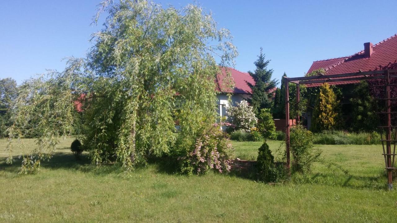 Apartamenty Zielona Gora Экстерьер фото